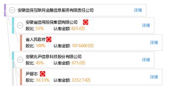 安徽信保互联网金融信息服务有限责任公司 深耕互联网信息服务，赋能区域金融创新